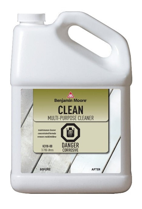 Benjamin Moore CLEAN 318