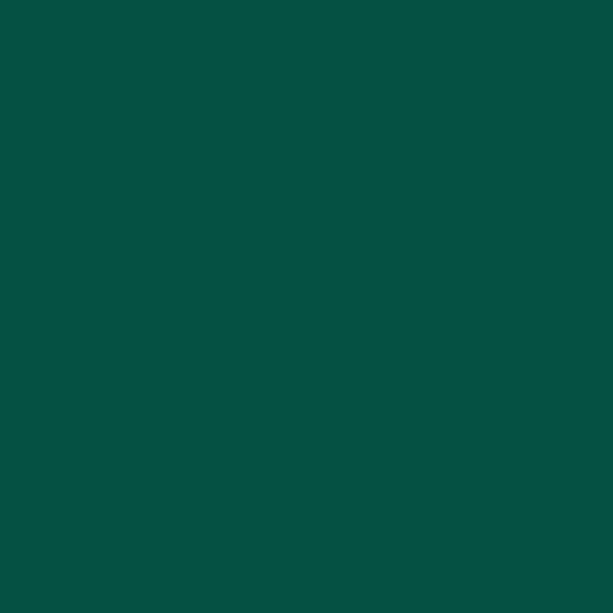سبز مطلق 2043-10