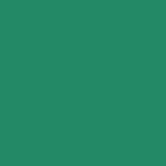 پریدوت 594