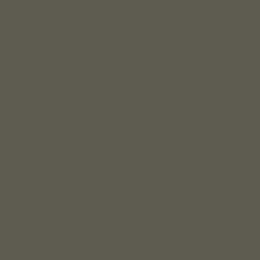 愛琴海橄欖1491