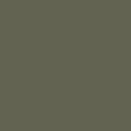 طبقه جنگلی CC-570