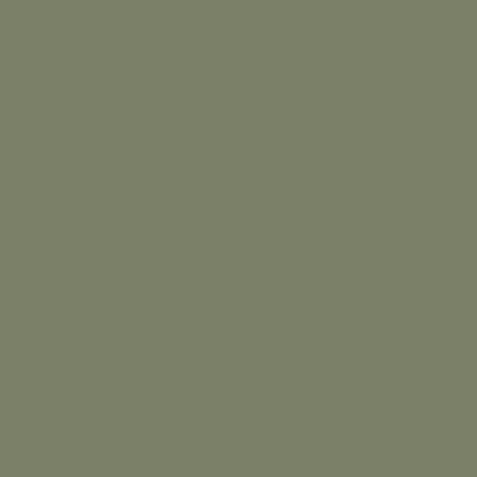 گالاپاگوس گرین 475