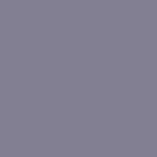 紫霧CC-980