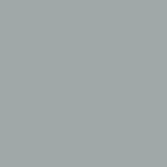 آداجیو 1593