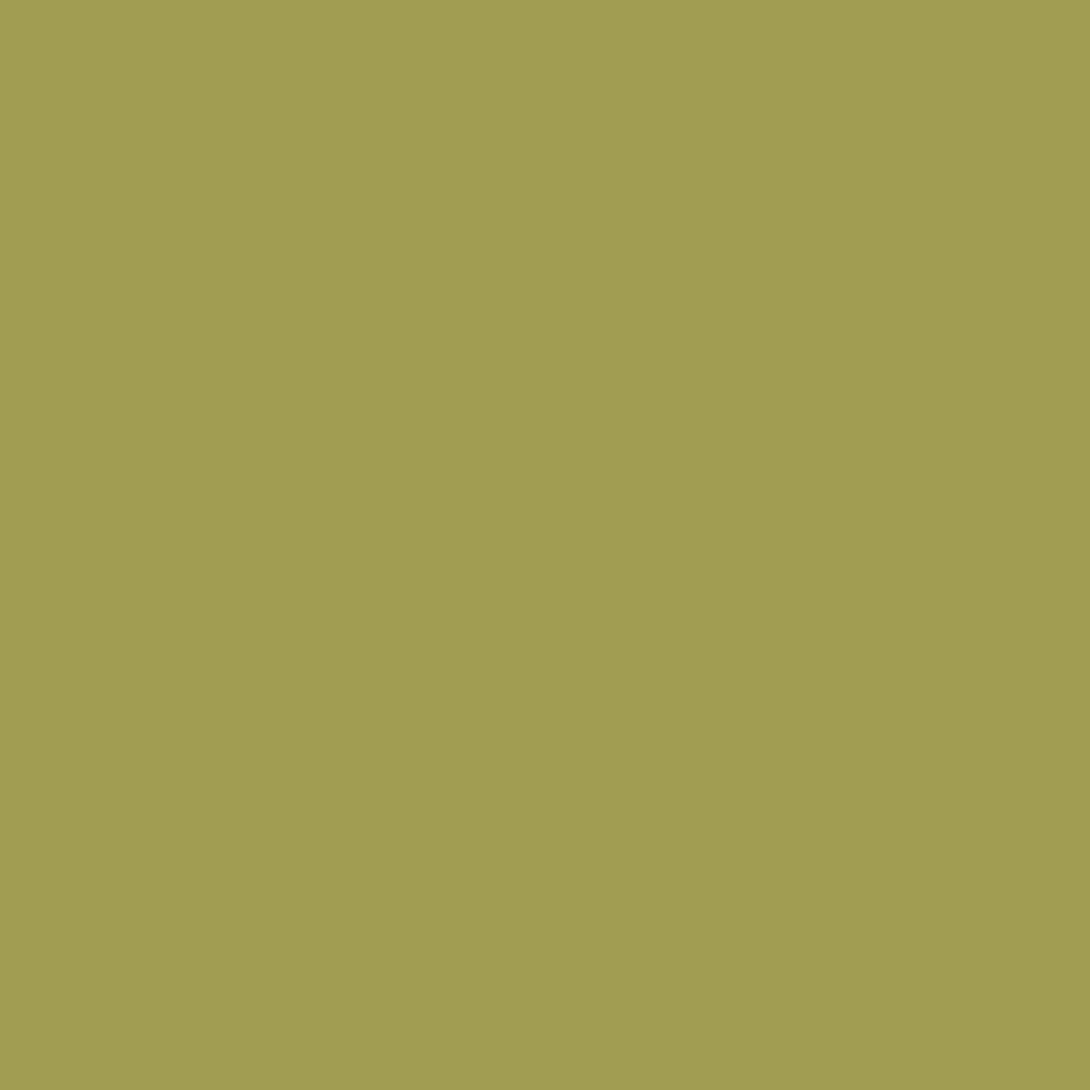 فلفل Jalapeño 2147-30