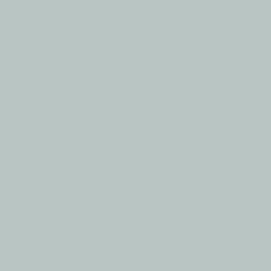 ولز گری 1585