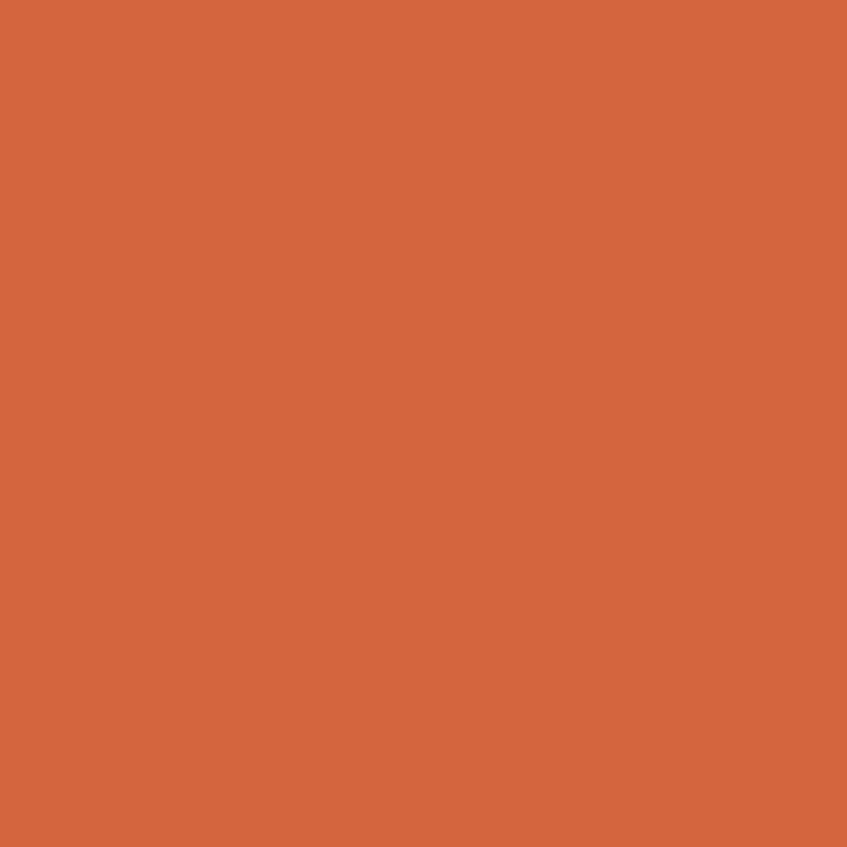 طوطی نارنجی 2169-20