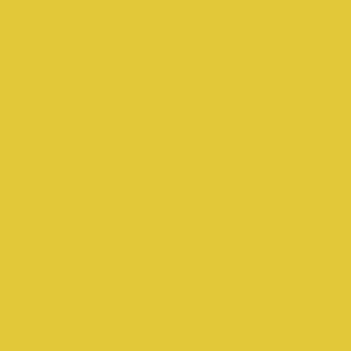 Hibiscus زرد 357